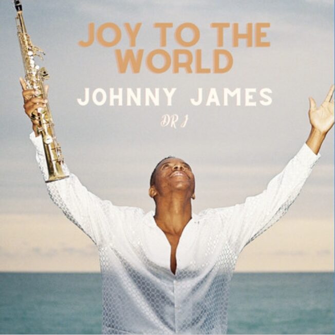 Joy To The World by Johnny James Book Cover